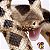 CASCAVEL COSTA DE DIAMANTES SAFARI LTD INCREDIBLE CREATURES MINIATURA DE ANIMAL - Imagem 2