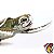 TARTARUGA-DE-KEMP BEBÊ SAFARI LTD INCREDIBLE CREATURES MINIATURA DE ANIMAL MARINHO - Imagem 2