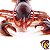 LAGOSTA-DO-MAINE SAFARI LTD INCREDIBLE CREATURES MINIATURA DE ANIMAL MARINHO - Imagem 4
