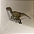 VELOCIRAPTOR PAPO MARROM 2005 BRINQUEDO RARO DE DINOSSAURO COLECIONÁVEL [USADO] - Imagem 3