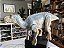 IGUANODON ALADAR GIGANTE 50CM DINOSSAURO DISNEY - PEÇA ORIGINAL MATTEL [USADO] - Imagem 3