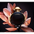 Olympéa Parfum Feminino Eau de Parfum - Imagem 3