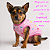 Roupa pet rosa com corações Modelo básico - Todos os tamanhos disponíveis - Imagem 3
