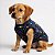 Roupa pet colorida - Modelo básico da Apetrechos pet - Imagem 3