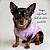 Blusa Pet Lilás Flores Coloridas | Quentinha e Cheia de Charme - Imagem 6