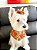 Bandana pet Xadrez com babadinho - Lançamento de Inverno ! - Imagem 6