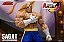Street Fighter Alpha 3 Storm Arena - Imagem 9