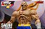 Street Fighter Alpha 3 Storm Arena - Imagem 8