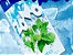 Juice Mint Ice Zomo 60ml + 10ml Iceburst 3mg - Imagem 1