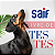 Desinfetante Perfumado Lavanda Saif 3L, Desinfetante Líquido De Uso Geral, Lilás, Elimina 99,9% Dos Germes E Bactérias, - Imagem 7