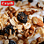 Granola Cereais Castanhas E Frutas Cereal Vita 230G, Granola De Castanhas Cereais E Frutas, Verde, Fonte De Fibras Com Z - Imagem 2