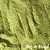 Moringa Oleífera em Pó (50g) - Imagem 1