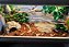 Terrário 120x50x60cm + Móvel, Completo para Serpentes - Jiboia - Corn-Snake - Etc - Imagem 2