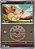 Charmander (020P/217) REV FOIL - Carta Avulsa Pokemon - Imagem 1