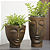 Vaso Face Homem Masculino 24 Decorativo Para Escritório - Nutriplan - Imagem 2