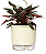 Vaso Auto Irrigável Terrazza 03 Médio 1,7 Litros - Vaso Raiz - Imagem 3