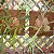 Placa Lisa De Fibra de Coco 02 - Vida Verde - Imagem 2