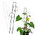 Kit Tutor Para Plantas 80cm Esferas - Vaso Raiz - Imagem 1