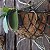 Vaso De Parede de Fibra de Coco 30cm - Top Garden - Imagem 2
