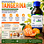 Extrato De Tangerina - Natural - Bräu Flavors - 50g - Imagem 2