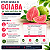 Extrato Natural Fruta Goiaba - Bräu Flavors 50g - Imagem 3