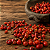 Extrato De Pimenta Rosa - Natural - Bräu Flavors - 50g - Imagem 4