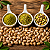 Extrato De Pistache - Natural - Bräu Flavors - 50g - Imagem 4