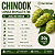 Lúpulo Chinook Barth Haas 1kg Pellets T90 - Imagem 4