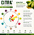 Lúpulo Citra® Barth Haas 50g Pellet T90 – Aroma Cítrico para IPA, APA, NEIPA e Dry Hop - Imagem 2