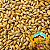 Malte Château Biscuit Castle Malting - Imagem 1