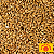 Malte Weyermann Carapils - Imagem 1