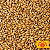 Malte Weyermann Pale Ale - Imagem 1