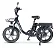 Bicicleta Elétrica Panda Q11 1000W | Bateria de Lítio 48V 15Ah - Imagem 2