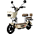 Scooter Elétrica ACE 500W Bateria de Lítio - Imagem 1