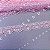 Tule Bordado OR-9589/R (2,0cm - 13,7m) - Imagem 1