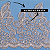 Tule Bordado Prata CH-1700/B (10,0cm - 9,14m) - Imagem 3