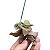 BONECO MESTRE YODA COM SABRE STAR WARS MANDALORIAN MINIATURA - Imagem 1