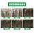 Prótese Capilar Base Híbrida 20x25cm Fios Humanos Castanho Escuro 110% - Imagem 6