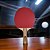 Raquete Ping Pong Pro Dhs 2002 Preta/vermelha Fl (côncavo) - Imagem 5