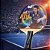 Raquete Ping Pong Caneta Chinesa Wong Chun Ting RDJ CS-1 - Imagem 5