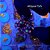Cloves Papaya - Imagem 1