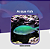 Donzela Green Chromis - Imagem 1
