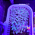 Anemona Pink Tips caribe (Haitiana) GG - Imagem 1
