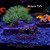 Mushroom Lava Lamp - Imagem 1