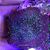 Mushroom Lava Lamp - Imagem 1