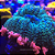 Mushroom Bounce Frankenstein - Imagem 1
