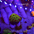 Galaxea Sonic The Hedgehog - Imagem 1