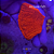 Montipora Red - Imagem 1