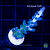 Acropora Cali Tort - Imagem 1