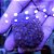 Bubble Pearl G - Imagem 1